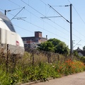Train-025.jpg