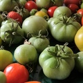 Tomates-001.jpg