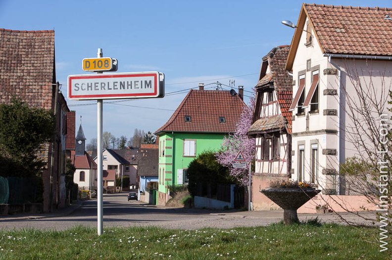 Scherlenheim-036.jpg