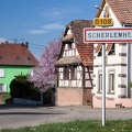 Scherlenheim-038.jpg